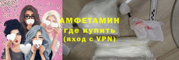 прущие грибы Вязьма