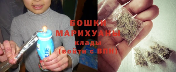 прущие грибы Вязьма