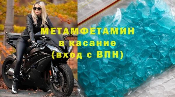 прущие грибы Вязьма