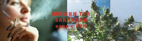 прущие грибы Вязьма