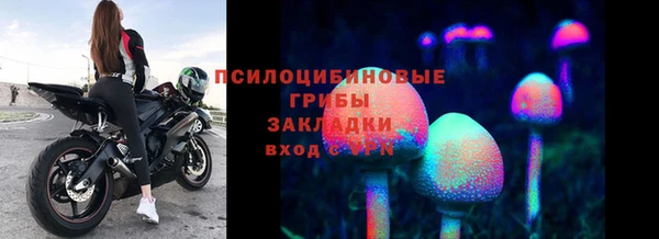 прущие крисы Вяземский