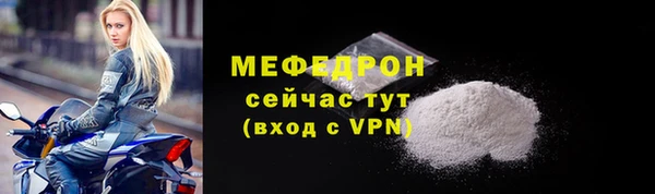 прущие грибы Вязьма