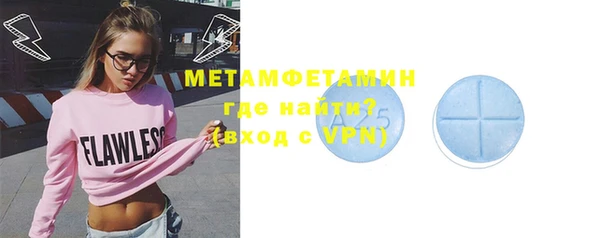 прущие грибы Вязьма