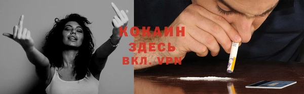 прущие крисы Вяземский