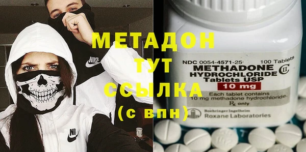 прущие грибы Вязьма