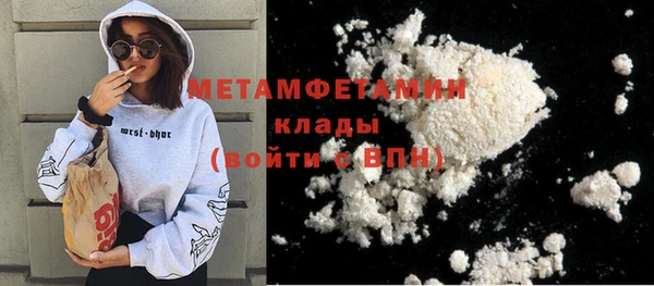 прущие грибы Вязьма