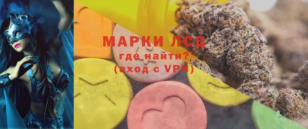 прущие грибы Вязьма
