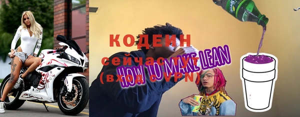 прущие грибы Вязьма
