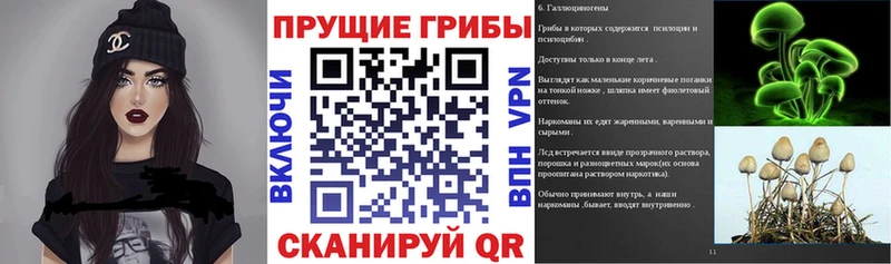 Галлюциногенные грибы Cubensis  Кызыл 